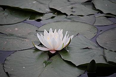 《黑暗之死》发售日预告 1月24日发售